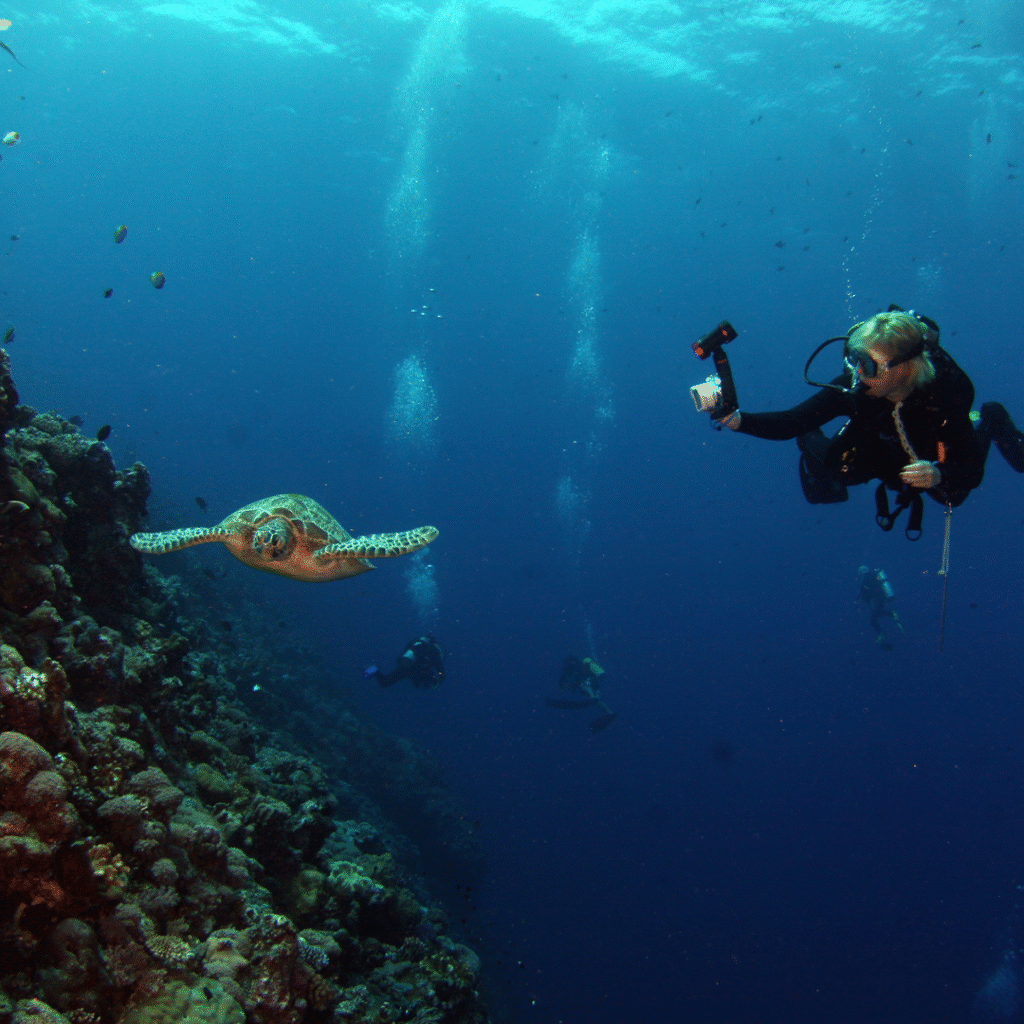 Buceador explorando las cristalinas aguas maltesas, una aventura submarina destacada en 'Hostel en Malta: Descubre la Vibrante Experiencia', invitando a los huéspedes de Hostel ON a sumergirse en el mundo acuático